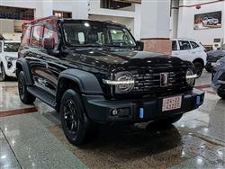 جريت وول 300